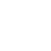 scae phone